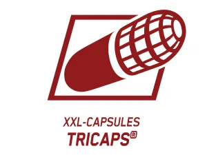 Ironmaxx Hellfire - 60 tricaps with extracts from willow bark pepper black beans & grapefruit perfect addition in the diet phase 60 XXL capsules - product information 31