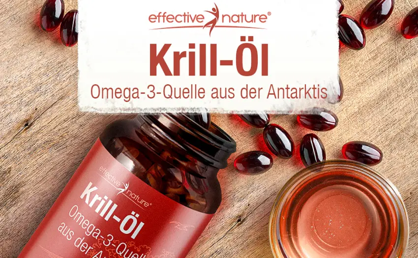 Krill oil capsules high -dosed with 1000 mg per day - 180 capsules for 3 months - valuable omega -3 source - Superba krill oil with 100 mcg astaxanthin - Krill-Öl