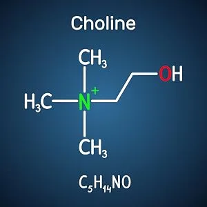 Sovita Lecithin Granules | Natural Soy Phospholipid | For Cell Health & Energy - cholin