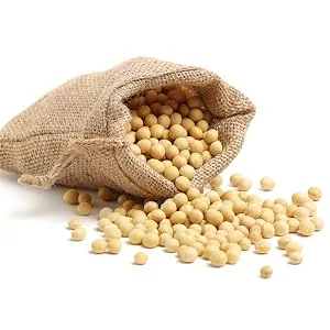 Sovita Lecithin Granules | Natural Soy Phospholipid | For Cell Health & Energy - sojabohne
