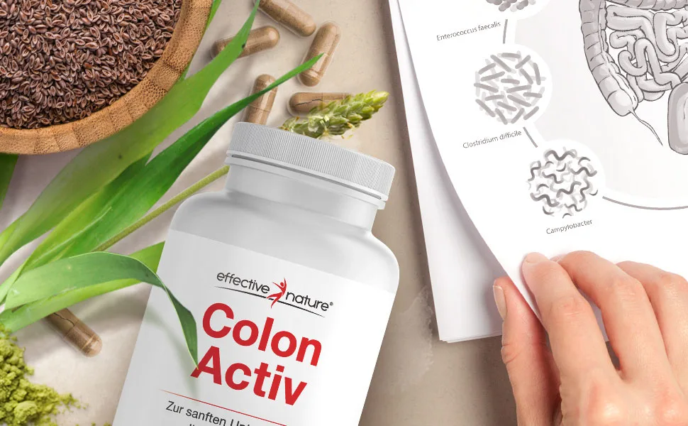 Colon Activ - 240 capsules - enough for 4 weeks - Effective nutrient combination - supports digestion - gentle intestinal program - with calcium and psyllium husks - simple clean sensitive, darmkur, colon activ, darmsanierung kapseln, colon activ, darmreinigung