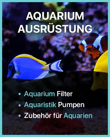 SunSun HW-603B Aquarium external filter 400 L/h with 3 filter sponges and 1 filter fleece filter media filter pump - aquarium