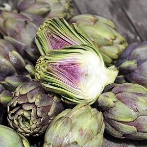 sovita bile dragee with artichoke | Traditional herbal medicine for the relief of digestive problems | 120 dragees - Artischocke