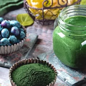 Organic Chlorella Powder - 250 g - 100% organic chlorella from controlled cultivation - No additives - Enough for approx. 30 days - Chlorella Pulver