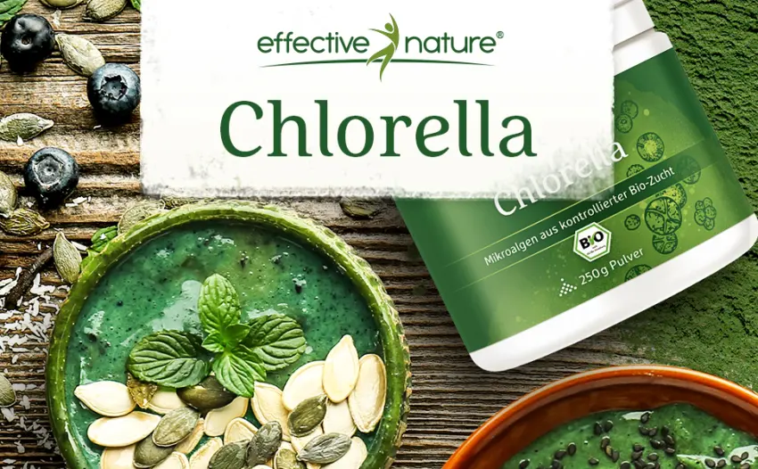 Organic Chlorella Powder - 250 g - 100% organic chlorella from controlled cultivation - No additives - Enough for approx. 30 days - Chlorella von effective nature