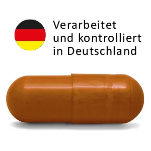 Ceylon cinnamon Dr.med.Michalzik - per capsule 500mg cinnamon + 20% polyphenols - the finest extract from the real Ceylon. - Kapsel