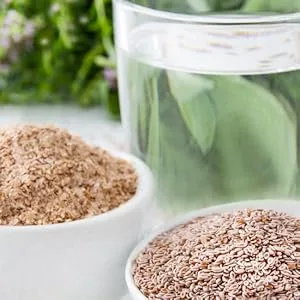 Organic flea seed shells - 240 capsules - 3600 mg psyllium husks per day - Psyllium husk - vegan - Indian psyllium husk high dose - without additives - flohsamenschalen ballaststoffe kapseln flohsamen bentonit flosamen flosamenschalen psyllium husk