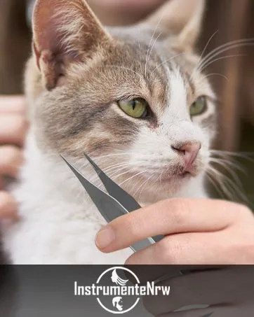 Dog foreign body forceps ear forceps ear cleaner for dogs and pets and animal species 12 cm - Katze Zeckenentfernung Hund Tierpflege Fellpflege