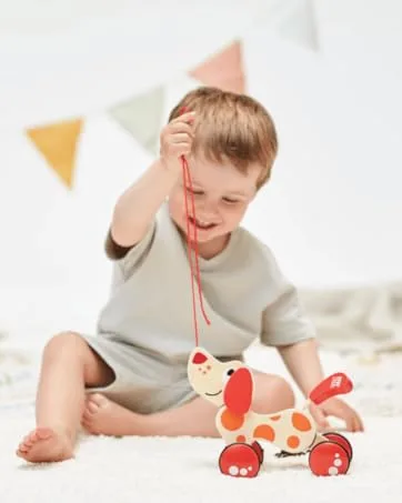 Hape E0341 - Dancing butterflies - Pepe