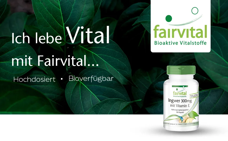 Fairvital | Ginger capsules 300mg with vitamin E - HIGH DOSE - VEGAN - 180 capsules - Ingwer 300mg mit Vitamin E