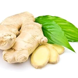 Fairvital | Ginger capsules 300mg with vitamin E - HIGH DOSE - VEGAN - 180 capsules - Ingwer 300mg mit Vitamin E