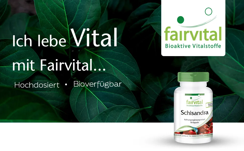 Fairvital |Schisandra capsules - 150mg Schisandra extract per capsule - high dose - Wu Wei Zi (Schisandra Chinensis) - standardized on 9% Schisandrin - vegan - 90 capsules - schisandra