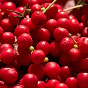 Fairvital |Schisandra capsules - 150mg Schisandra extract per capsule - high dose - Wu Wei Zi (Schisandra Chinensis) - standardized on 9% Schisandrin - vegan - 90 capsules - schisandra