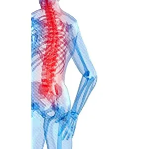 Mueller Adjustable Back Brace back active bandage to support the lumbar vertebrae unit size black unit size black - Rückenbild