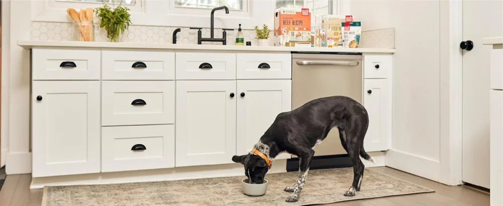 The Honest Kitchen Human Grade Dehydrated Whole Grain Dog Food – Complete Meal or Dog Food Topper Chicken 10 Pound (Pack of 1) - Easily Digestible