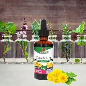 Nature's Answer Dandelion Root with Organic Alcohol, 2-Fluid Ounces | Liver Support | Promotes Healthy Digestion | Promotes Kidney Function 2 Fl Oz (Pack of 1) - healthy digestive liver functions Organic Alcohol Extract Gluten Free Dandelion