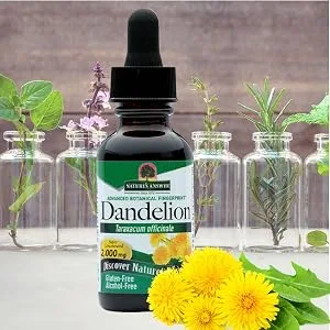 Answer Dandelion Root | Supports Healthy Liver Function | Low Organic Alcohol -Gluten-Free Kosher Certified- nonGMO 1oz 1 Fl Oz (Pack of 1) - Nature