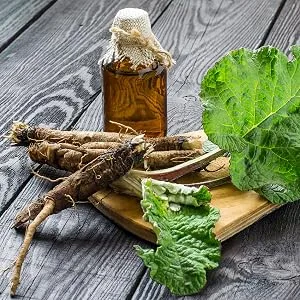 Nature's Answer Burdock Root | Herbal Supplement | Promotes Overall Health & Wellbeing | Alcohol-Free & Gluten-Free 1oz - Nature