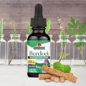 Nature's Answer Burdock Root | Herbal Supplement | Promotes Overall Health & Wellbeing | Alcohol-Free & Gluten-Free 1oz - Natures Answer, Burdock, Alcohol Free, Extract, Liquid, Vegan, Gluten Free