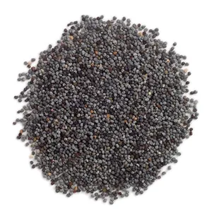 Frontier Co-op Whole Poppy Seed 1lb - Whole Poppy Seeds