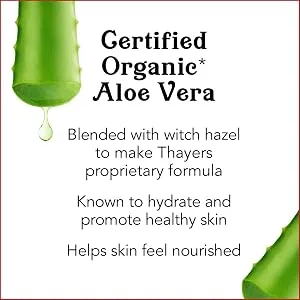 THAYERS Original Witch Hazel Astringent Pads with Aloe Vera Formula, 60 Count (Pack of 2) Original 60 Count (Pack of 2) - Thayers Astringent