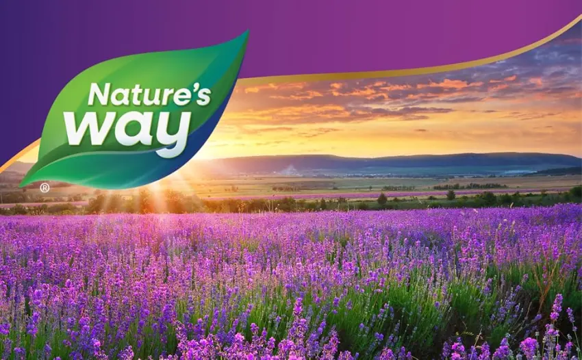 Nature's Way Zinc Chelate, Supports Immune Function*, 30 mg per Serving, 100 Capsules - A field of lavender.