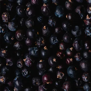 Frontier Co-op Juniper Berries, Whole, 1.28 Ounce Bottle, Certified Organic, Kosher, Non-Irradiated | Juniperus communis L. 1.28 Ounce (Pack of 1) - Juniper Berries