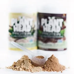 Genceutic Naturals Plant Head Protein Powder Supplement, Vanilla, 1.7-Pounds (lbs) Vanilla 1.7 Pound (Pack of 1) - Nature