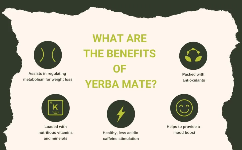 ECOTEAS Organic Yerba Mate Loose Tea Traditional Cut, 5 Pounds - ECOTEAS