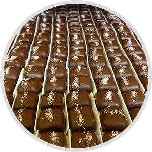 Cocomel, Organic Vanilla, Chocolate Covered, 1 Ounce - Cocomels Chocolate Covered Bites