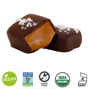 Cocomel, Organic Vanilla, Chocolate Covered, 1 Ounce - JJ Sweets Chocolate-Covered Cocomels
