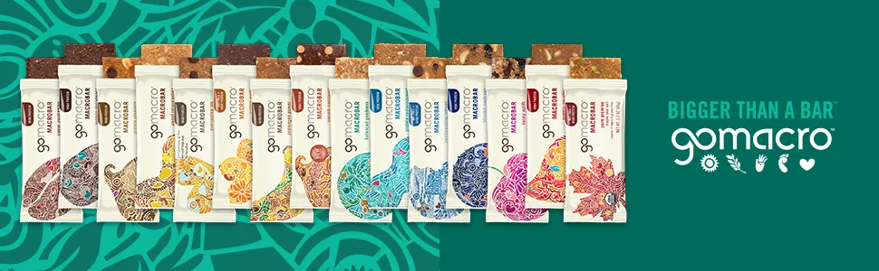 GoMacro MacroBar Organic Vegan Protein Bars - Peanut Butter Chocolate Chip (2.4 Ounce Bars, 12 Count) - protein bars from gomacro