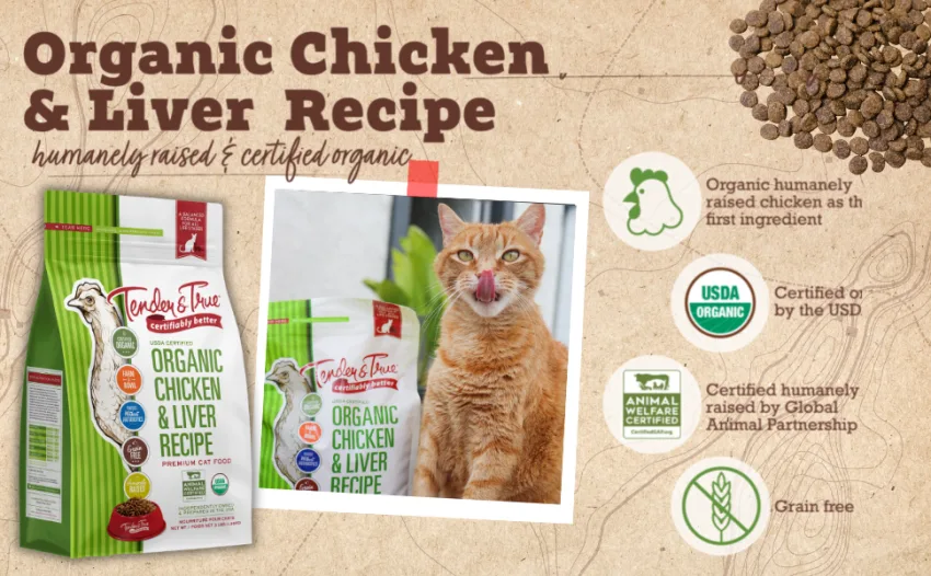 Tender & True Pet Nutrition Organic Chicken & Liver Recipe Dry Cat Food 3 Pound (Pack of 1) - Better from the Beginning