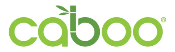 Caboo Tree-Free Bamboo Toilet Paper, Septic Safe Biodegradable Bath Tissue, Eco Friendly Soft 2 Ply Sheets, 300 Sheets Per Roll, 12 Count (Pack of 1) - caboo tree free paper products bamboo sugarcane toilet paper bath tissue