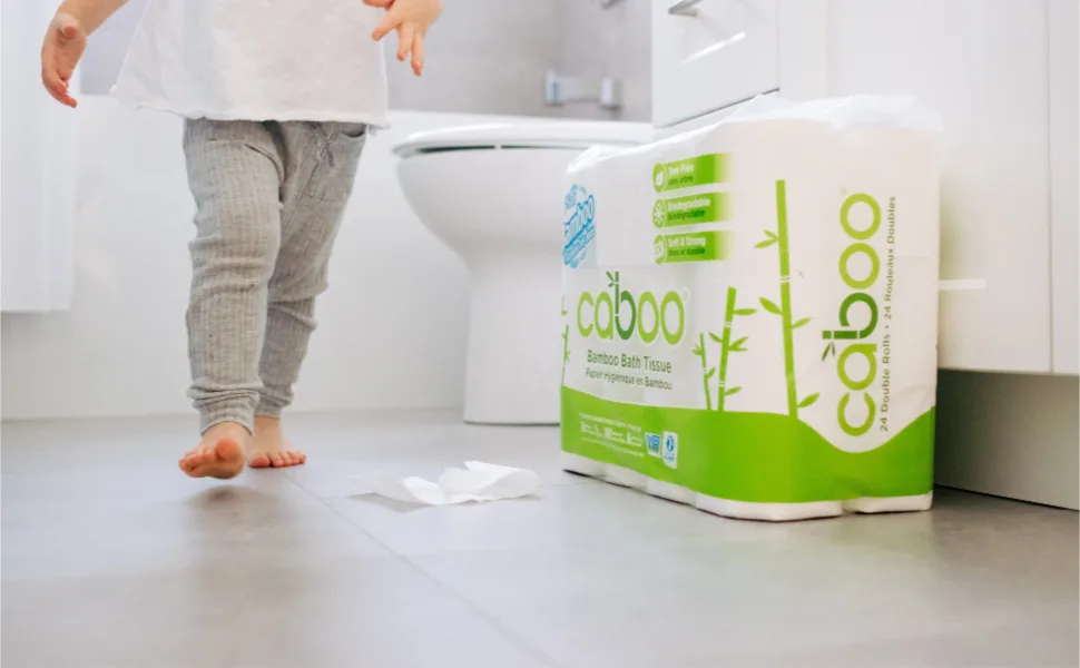 Caboo Tree-Free Bamboo Toilet Paper, Septic Safe Biodegradable Bath Tissue, Eco Friendly Soft 2 Ply Sheets, 300 Sheets Per Roll, 12 Count (Pack of 1) - caboo tree free toilet paper bath tissue bamboo
