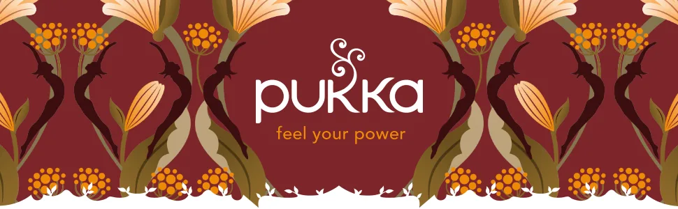 Pukka After Dinner, Organic Herbal Tea with Fennel, Roasted Chicory and Cardamom (6 Pack, 120 Tea Bags) - product information 1