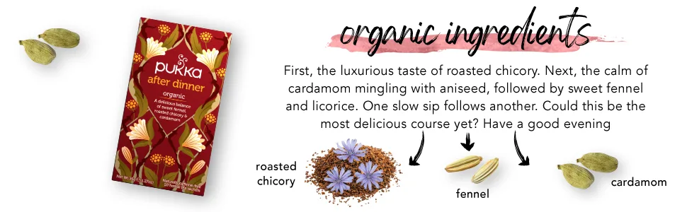 Pukka After Dinner, Organic Herbal Tea with Fennel, Roasted Chicory and Cardamom (6 Pack, 120 Tea Bags) - product information 2
