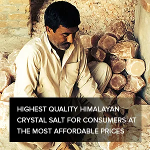 Evolution Salt - Aromatherapy Crystal Salt Himalayan Lamp 4-6 lbs. Orange - Evolution Salt Why Us