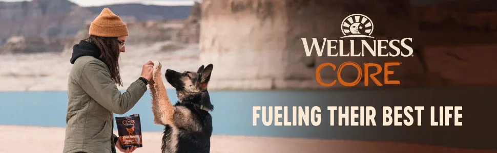 Wellness CORE Pure Rewards Natural Grain Free Jerky Bites Dog Treats, Beef Recipe, 4-Ounce Bag Beef 4 oz - Wellness CORE Treats