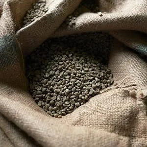 Wicked Joe Coffee Sumatra Ground, 12 oz - coffee beans organic fair trade