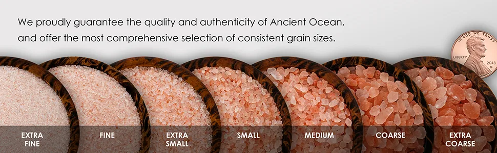 SaltWorks Ancient Ocean Himalayan Pink Salt, Fine Grain, 5 Pound Bag 5 Pound (Pack of 1) Fine - saltworks ancient ocean himalayan pink salt grain sizes