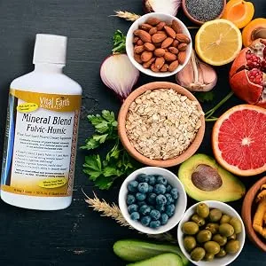 Vital Earth Minerals Vital Joint Support 32 Fl Oz (2) - keywords