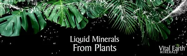Vital Earth Minerals Vital Joint Support 32 Fl Oz (2) - trace minerals, multi-minerals, mineral supplements, liquid minerals, ionic minerals, fulvic, humic