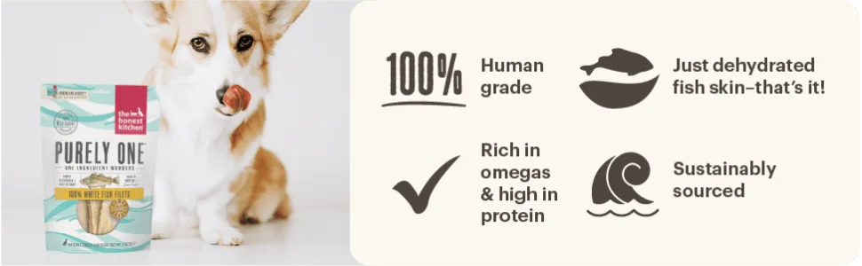 The Honest Kitchen Wishes: Natural Human Grade Dehydrated Fish Filets, Treats for Dogs and Cats 3 oz 1 - unspecified