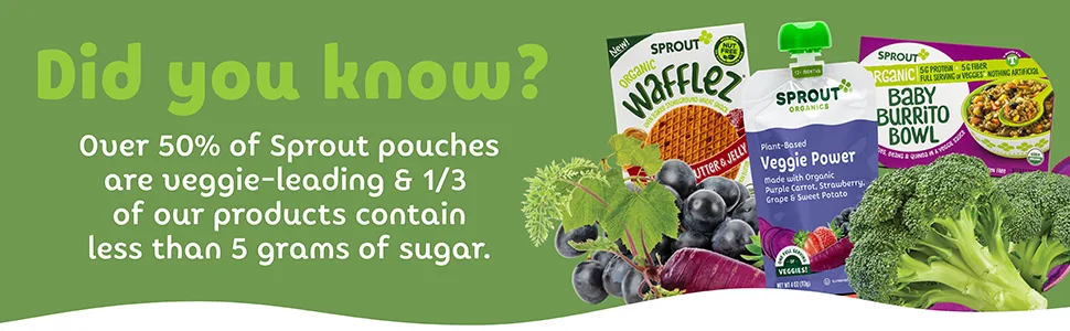 Sprout Organic Curlz Toddler Snacks, Broccoli, 1.48 Oz Broccoli 1.48 Ounce (Pack of 1) - Did you know?