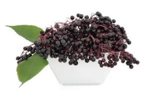 Nature'S Answer Sambucus Mega Gummies 7x (30 Gummies) 30 Count (Pack of 1) - product information 4