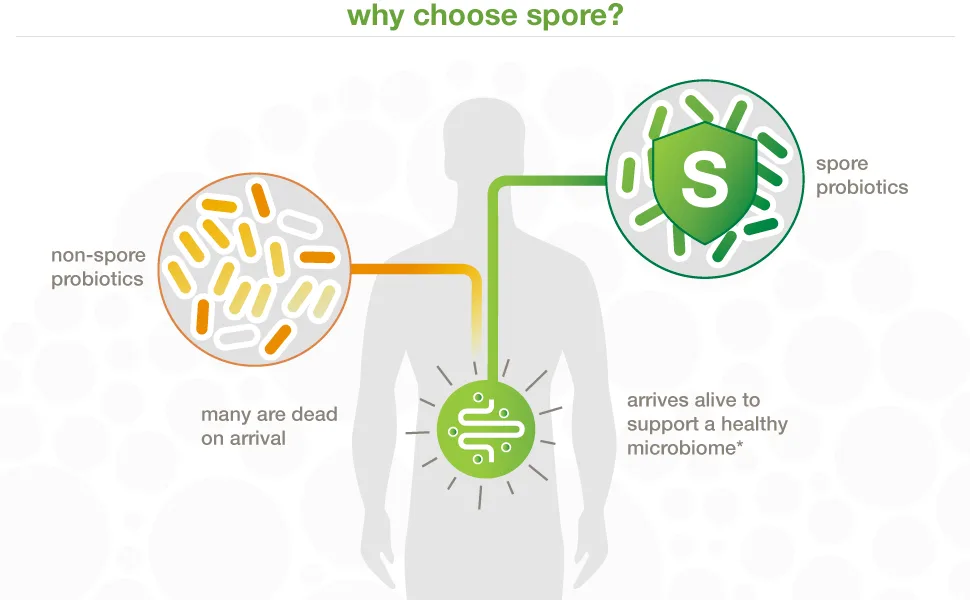 Youtheory Spore Probiotic Powder Advanced 3.45 oz. (1 Bottle) No Refrigeration Required - how it works,