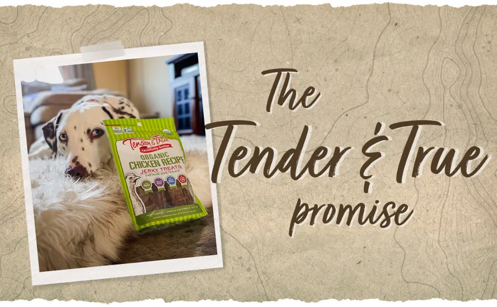 Tender & True Organic Chicken Jerky Treat, 4 oz bag - TT Promise