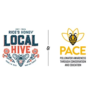 Local Hive Authentic Clover Raw & Unfiltered Honey, 16oz - pace honey