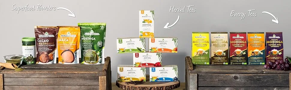 Miracle Tree's Energizing Moringa Infusion - Chai | Super Caffeinated Blend | Healthy Coffee Alternative, Perfect for Focus | Organic Certified & Non-GMO | 16 Pyramid Sachets Chai 16 Count (Pack of 1) - Miracle Tree Moringa Tea Superfood Powder Herbal Powder Organic Moringa Healthy Coffee Alternative